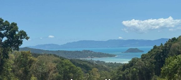  Commercial property in Surat Thani, Thailand No. 24512 6