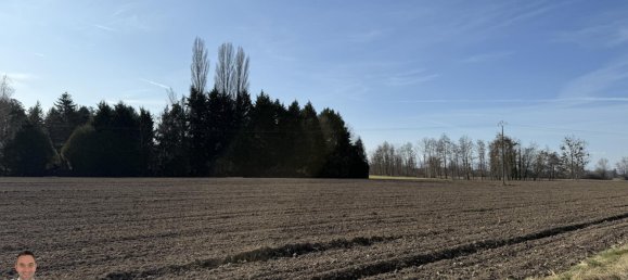 Terrain à Daubensand, France No. 266698 3