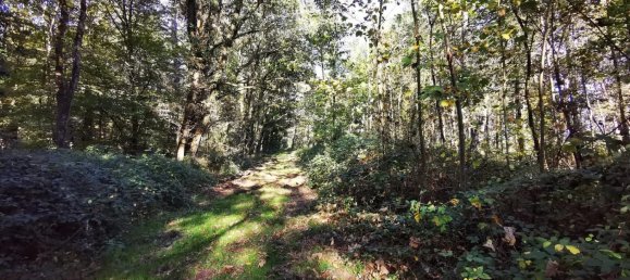 4 Schlafzimmer Schlösser in Saint-Viatre, France, Nr. 212965 23