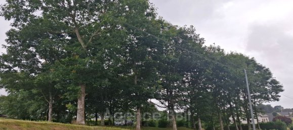 1 Schlafzimmer Haus in Cotes-d'Armor, France, Nr. 307195 13