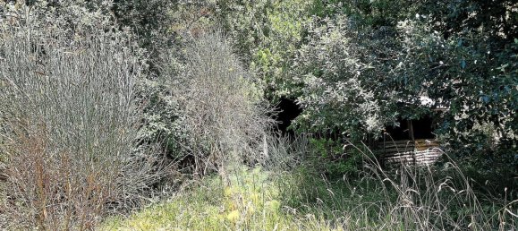 3-salle Maison à Poggio Bustone, Italy No. 306398 8