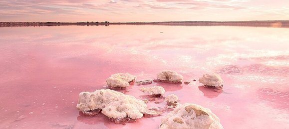 2 Schlafzimmer Wohnung in La Mata, Spain, Nr. 14320 3