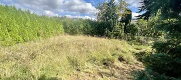 3 bedrooms Townhouse in Neubrandenburg, Germany No. 45310 30