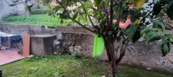 1 chambre Appartement à Ozieri, Italy No. 291604 2