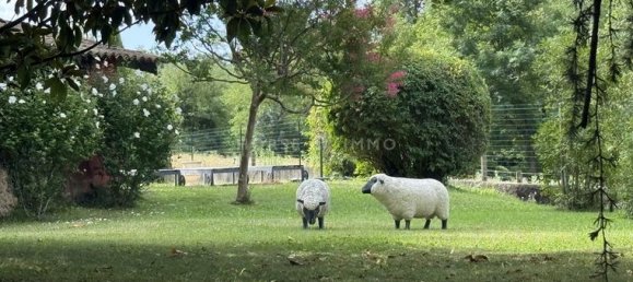  Castillos de 5 dormitorios en Mirmande, France No. 304537 9