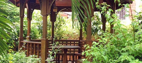 Café / restaurante T4 em Pattaya, Thailand N.º 1300 16