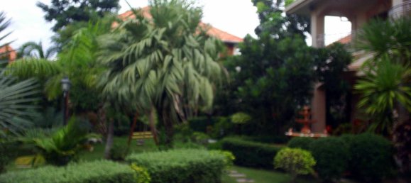 Café / restaurante T4 em Pattaya, Thailand N.º 1300 6