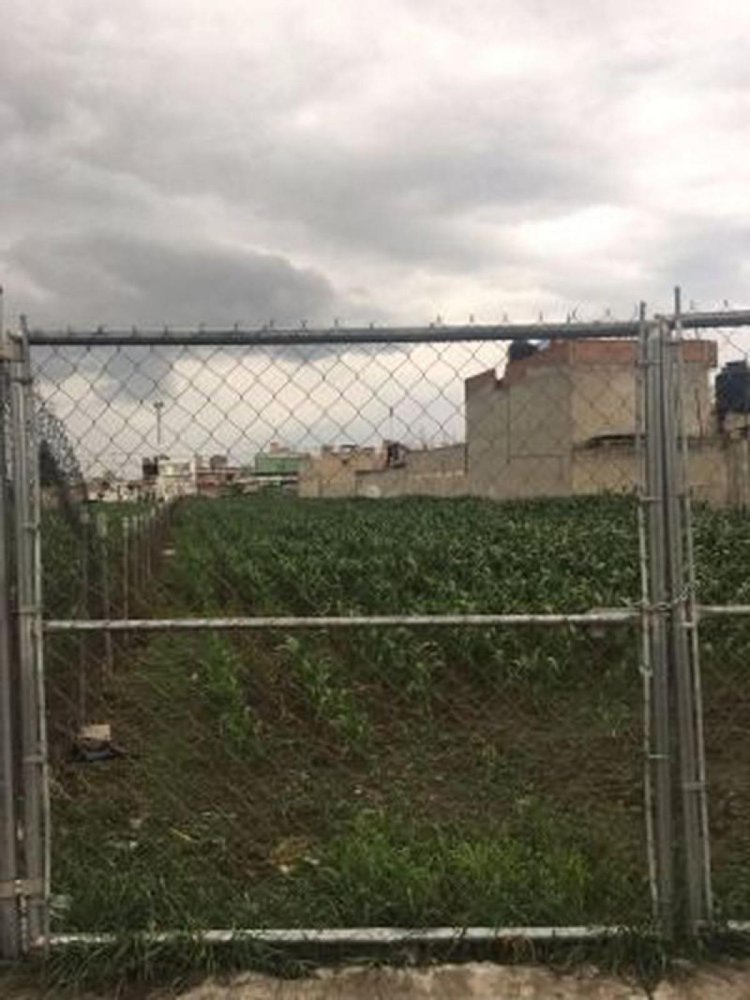 Terrain à San Buenaventura, Mexico No. 204865