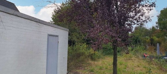 Таунхаус с 6 спальнями в Плён, Германия № 22856 7