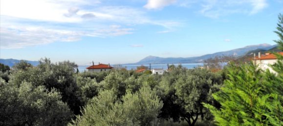 3 غرف نوم عقار تجاري في Phocis, Greece رقم 7490 8