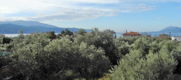 3 غرف نوم عقار تجاري في Phocis, Greece رقم 7490 9