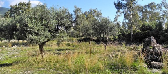 3 غرف نوم عقار تجاري في Phocis, Greece رقم 7490 7