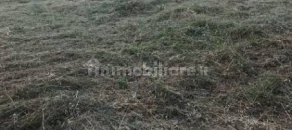 250m² Land in Citerna, Italy No. 290784 2