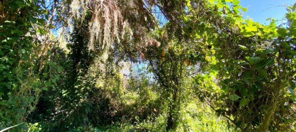 Casa de 2 dormitorios en Sintra, Portugal No. 11179 13