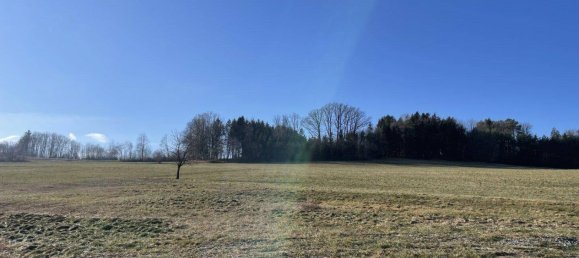 Terrain à Pinkafeld, Austria No. 46257 3