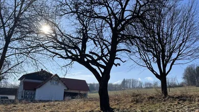 Terrain à Pinkafeld, Austria No. 46257