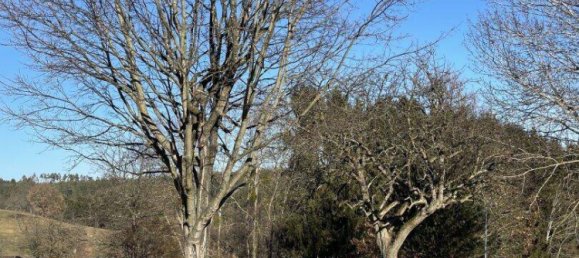 Terrain à Pinkafeld, Austria No. 46257 2