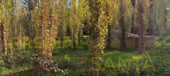 6 غرف نوم منزل في Santa Margarida da Coutada, Portugal رقم 141216 9