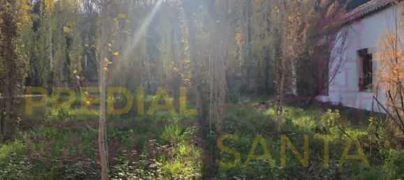 6 غرف نوم منزل في Santa Margarida da Coutada, Portugal رقم 141216 8