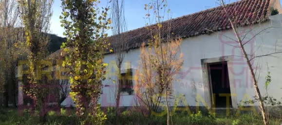 6 غرف نوم منزل في Santa Margarida da Coutada, Portugal رقم 141216 2