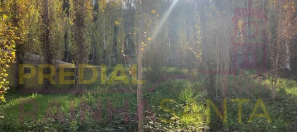 6 غرف نوم منزل في Santa Margarida da Coutada, Portugal رقم 141216 10