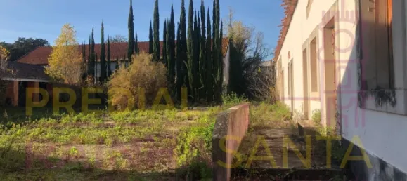 6 غرف نوم منزل في Santa Margarida da Coutada, Portugal رقم 141216 13