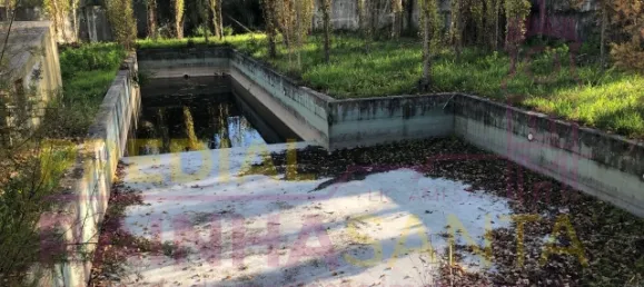 6 غرف نوم منزل في Santa Margarida da Coutada, Portugal رقم 141216 11