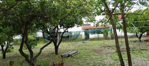 5 bedrooms House in Setubal, Portugal No. 277210 47