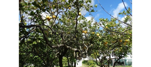 5 bedrooms House in Setubal, Portugal No. 277210 23