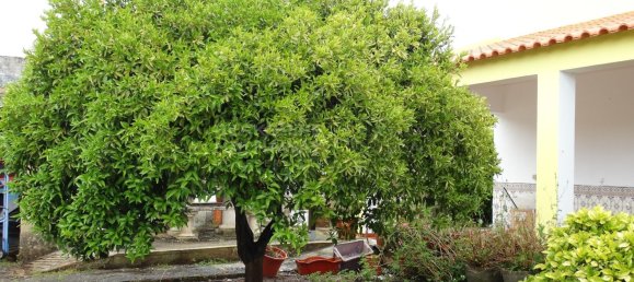 5 bedrooms House in Setubal, Portugal No. 277210 15