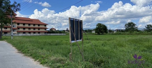 Land in San Sai, Thailand No. 8990 2