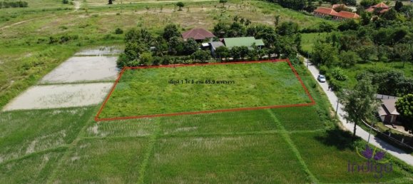 Land in San Sai, Thailand No. 8990 4