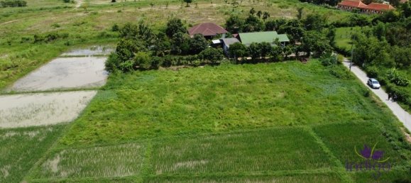 Land in San Sai, Thailand No. 8990 7