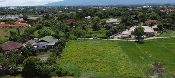 Land in San Sai, Thailand No. 8990 9