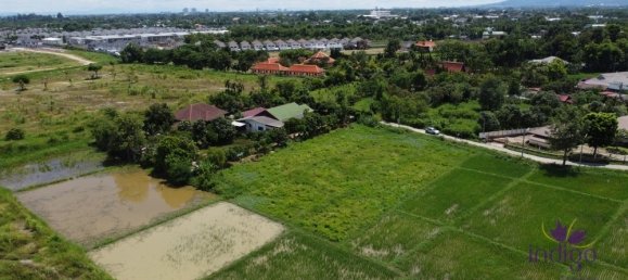 Land in San Sai, Thailand No. 8990 5