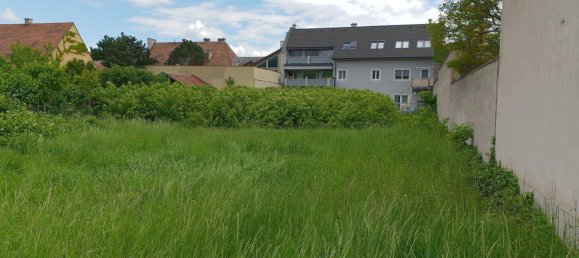 Terrain à Traiskirchen, Austria No. 228230 2