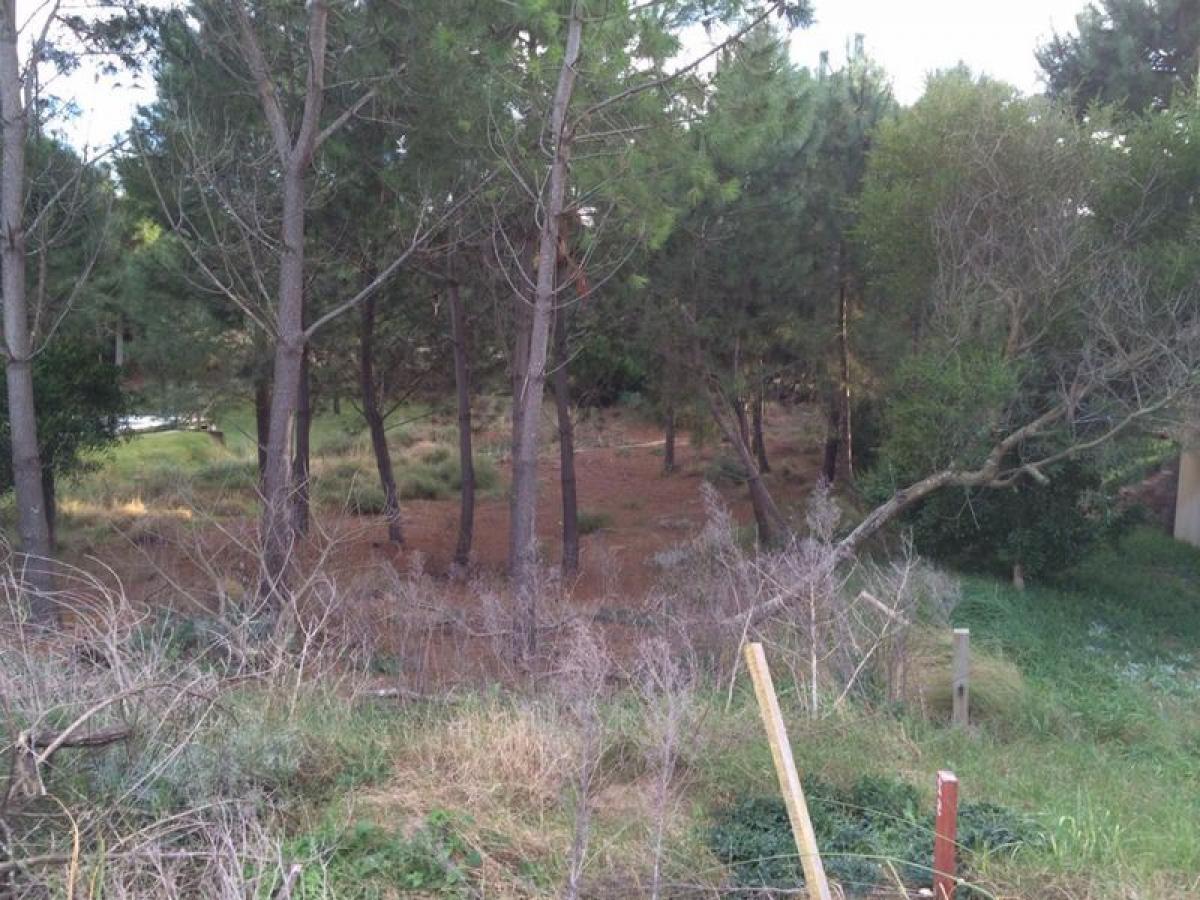  Land in Mar del Plata, Argentina No. 111137