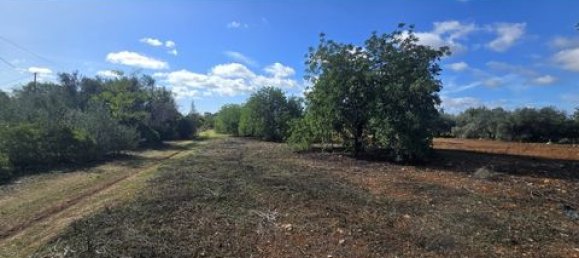 3 bedrooms House in Tavira, Portugal No. 190157 25