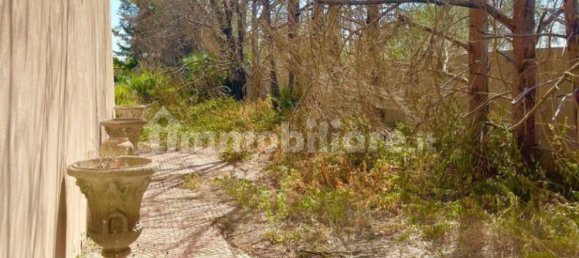 4 bedrooms Villa in Sogliano Cavour, Italy No. 53389 30