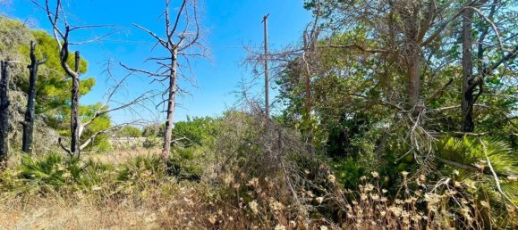 4 bedrooms Villa in Sogliano Cavour, Italy No. 53389 5