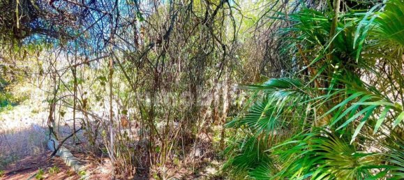 4 bedrooms Villa in Sogliano Cavour, Italy No. 53389 26