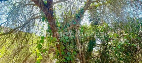 4 bedrooms Villa in Sogliano Cavour, Italy No. 53389 24