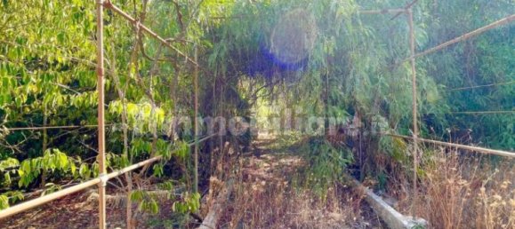 4 bedrooms Villa in Sogliano Cavour, Italy No. 53389 31