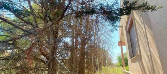 4 bedrooms Villa in Sogliano Cavour, Italy No. 53389 11