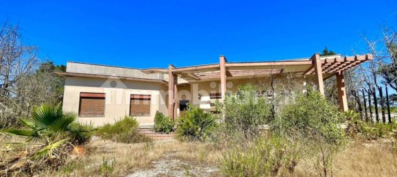 4 bedrooms Villa in Sogliano Cavour, Italy No. 53389 32