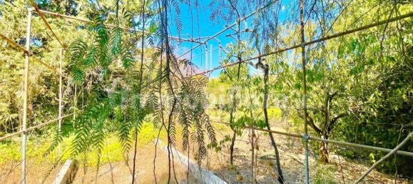 4 bedrooms Villa in Sogliano Cavour, Italy No. 53389 36