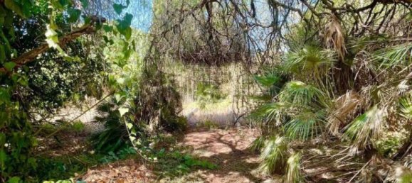 4 bedrooms Villa in Sogliano Cavour, Italy No. 53389 29