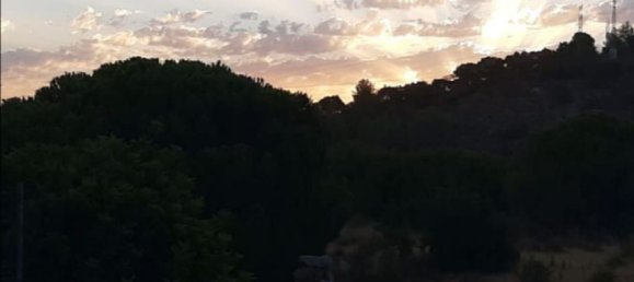 6 bedrooms House in Alhaurin de la Torre, Spain No. 61023 31