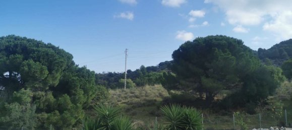 6 bedrooms House in Alhaurin de la Torre, Spain No. 61023 34