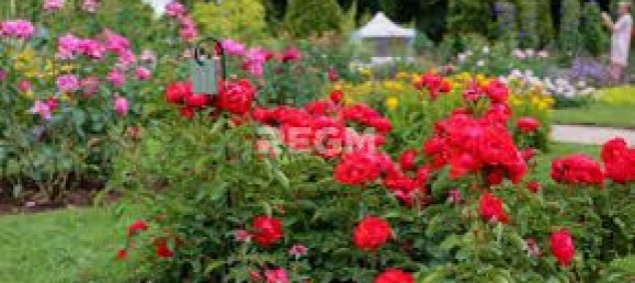 Casa T2 em Orleans, France N.º 81546 13